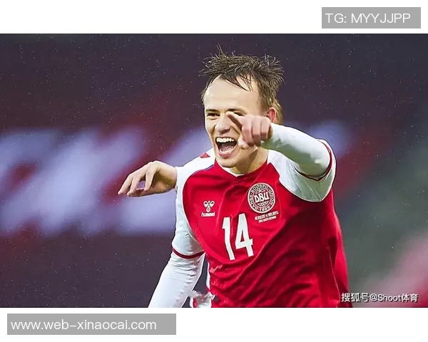 丹麦与奥地利的对决结果揭晓谁将胜出这场精彩比赛