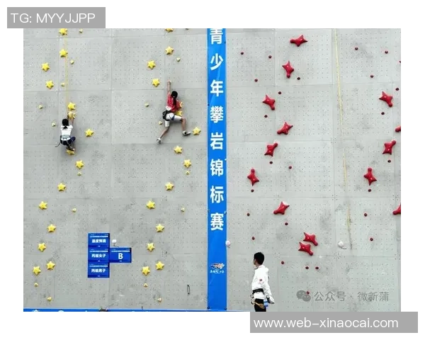 从零基础到高水平攀岩耐力提升全攻略助你轻松征服每一座岩壁