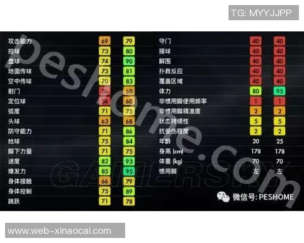 南京足球队实力深度解析与对手对比分析