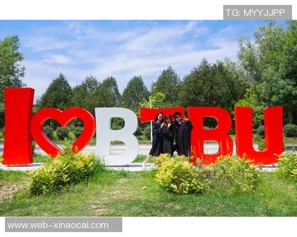 张兆旭：从青涩少年到篮球巨星的奋斗之路与荣耀时刻