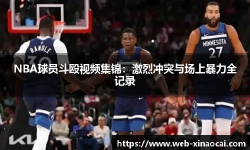 NBA球员斗殴视频集锦：激烈冲突与场上暴力全记录