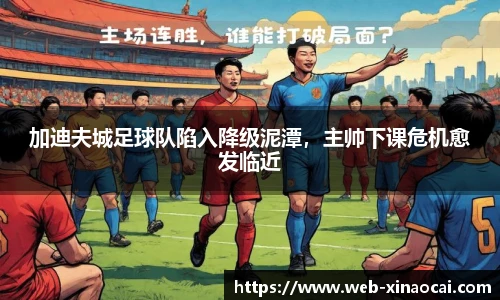 加迪夫城足球队陷入降级泥潭，主帅下课危机愈发临近