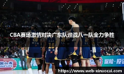 新澳彩公式