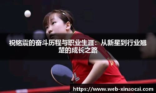 新澳彩24码