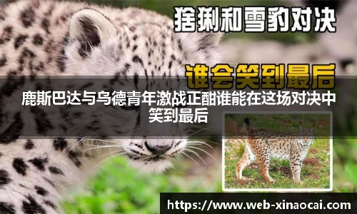 新澳彩24码